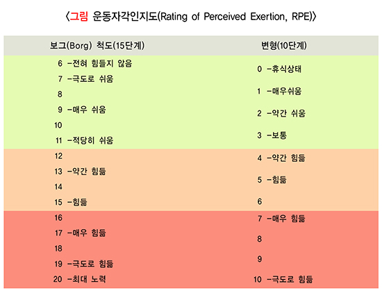 운동자각인지도(Rating of Perceived Exertion, RPE)