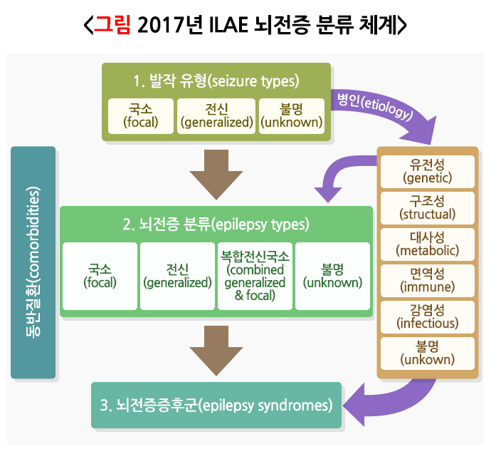 2017년 ILAE 뇌전증 분류 체계